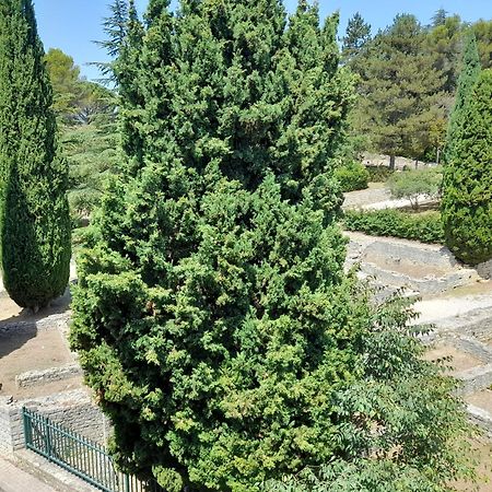 Apartament Grande Terrasse Et Vue Sur Le Site Antique Vaison-la-Romaine Zewnętrze zdjęcie