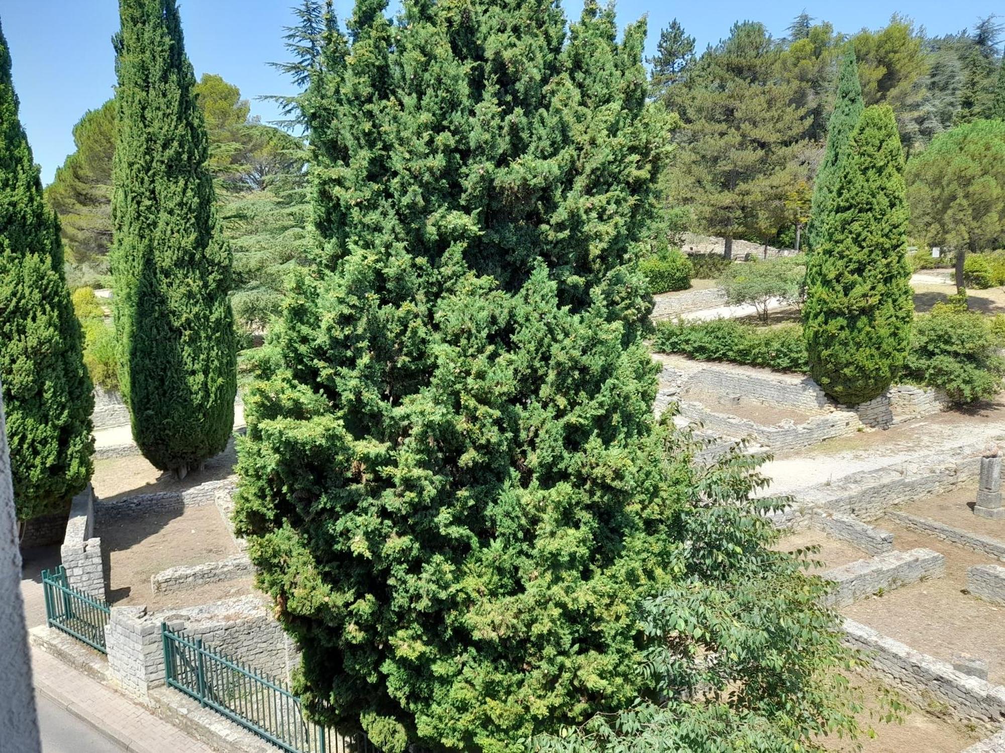 Apartament Grande Terrasse Et Vue Sur Le Site Antique Vaison-la-Romaine Zewnętrze zdjęcie